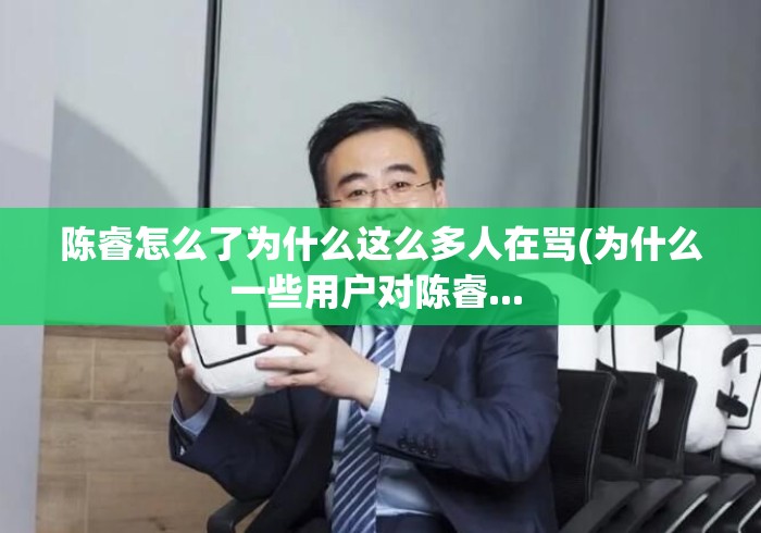 陈睿怎么了为什么这么多人在骂(为什么一些用户对陈睿... 