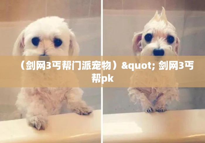 （剑网3丐帮门派宠物）" 剑网3丐帮pk