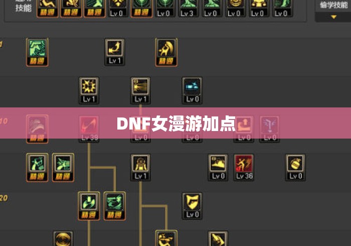 DNF女漫游加点,DNF女漫游2024最新刷图加点推荐