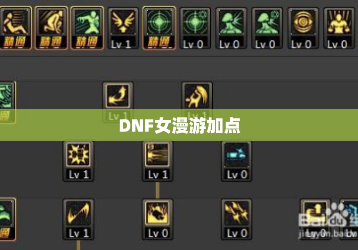 DNF女漫游加点