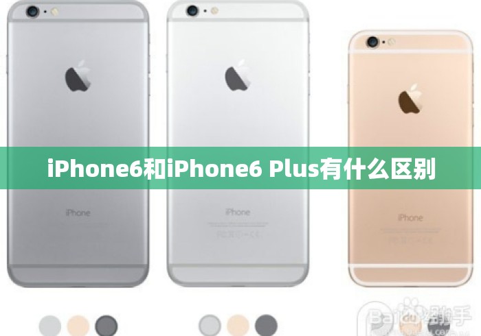 iPhone6和iPhone6 Plus有什么区别，iPhone 6 与 iPhone 6 Plus 的核心区别