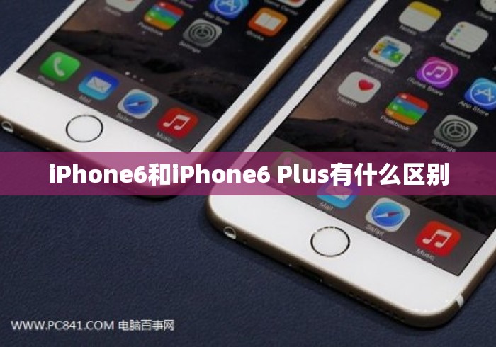 iPhone6和iPhone6 Plus有什么区别