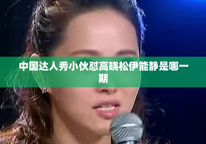 中国达人秀小伙怼高晓松伊能静是哪一期 中国达人秀小伙怼高晓松伊能静是哪一期