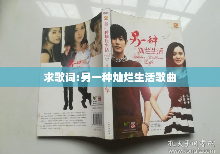 求歌词:另一种灿烂生活歌曲，另一种灿烂生活主题曲歌词