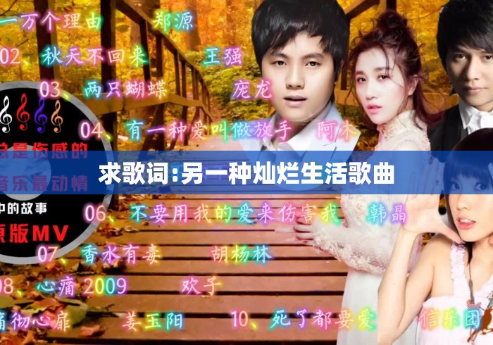 求歌词:另一种灿烂生活歌曲