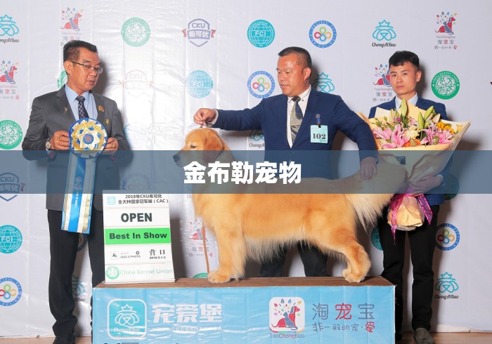 金布勒宠物 