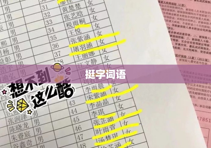 挺字词语，挺字词语大全