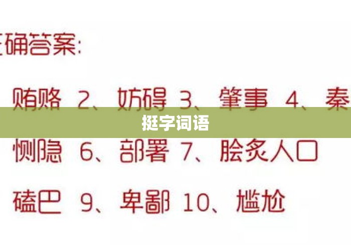 挺字词语