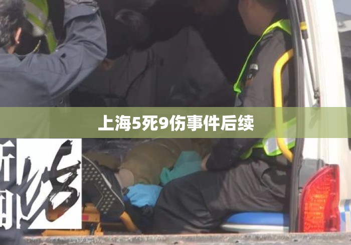 上海5死9伤事件后续