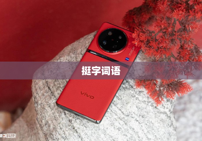 挺字词语,挺字词语大全
