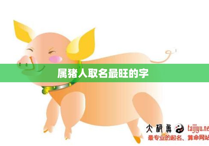 属猪人取名最旺的字 