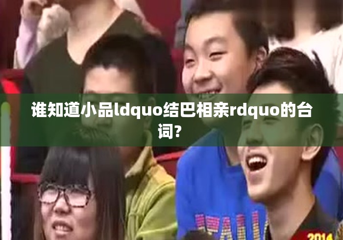 谁知道小品ldquo结巴相亲rdquo的台词?