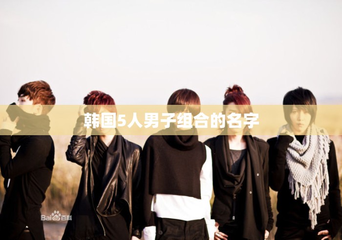 韩国5人男子组合的名字，韩国5人男子组合