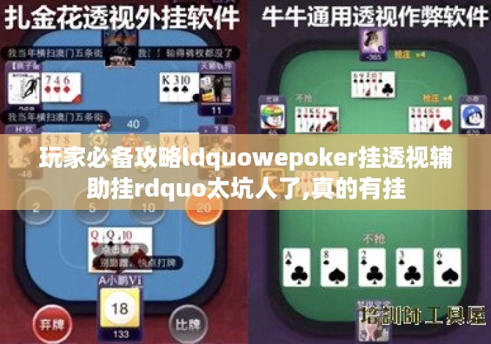 玩家必备攻略ldquowepoker挂透视辅助挂rdquo太坑人了,真的有挂