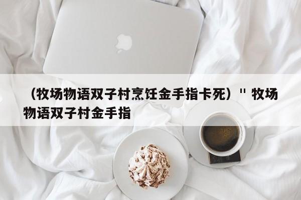(牧场物语双子村烹饪金手指卡死)
